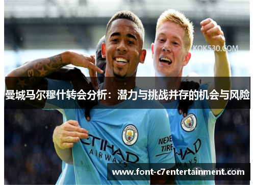 曼城马尔穆什转会分析:潜力与挑战并存的机会与风险 曼城马尔穆什转会分析:潜力与挑战并存的机会与风险
