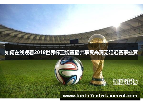 如何在线观看2018世界杯卫视直播并享受高清无延迟赛事盛宴 如何在线观看2018世界杯卫视直播并享受高清无延迟赛事盛宴