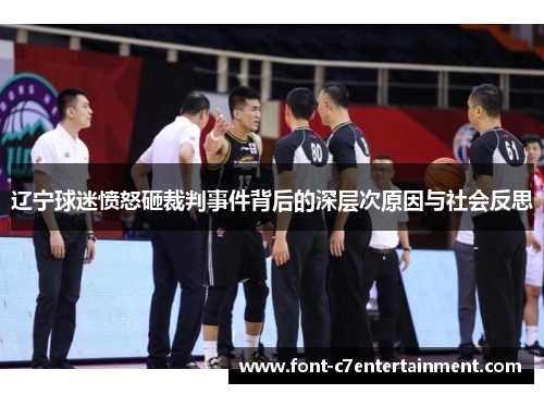 辽宁球迷愤怒砸裁判事件背后的深层次原因与社会反思