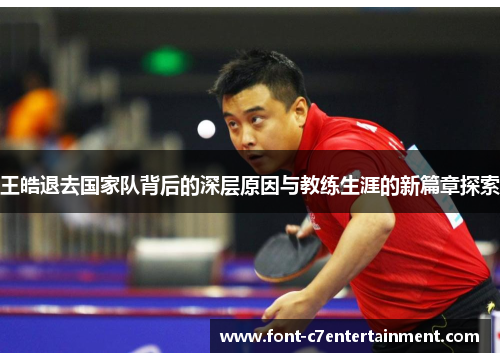 王皓退去国家队背后的深层原因与教练生涯的新篇章探索