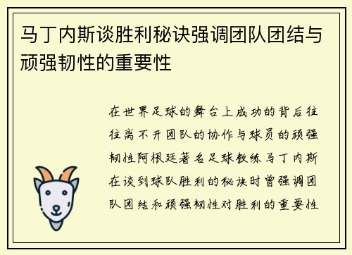 马丁内斯谈胜利秘诀强调团队团结与顽强韧性的重要性