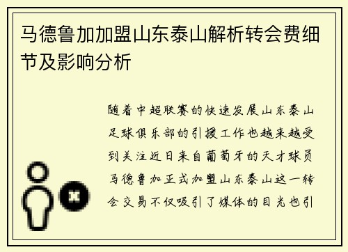 马德鲁加加盟山东泰山解析转会费细节及影响分析